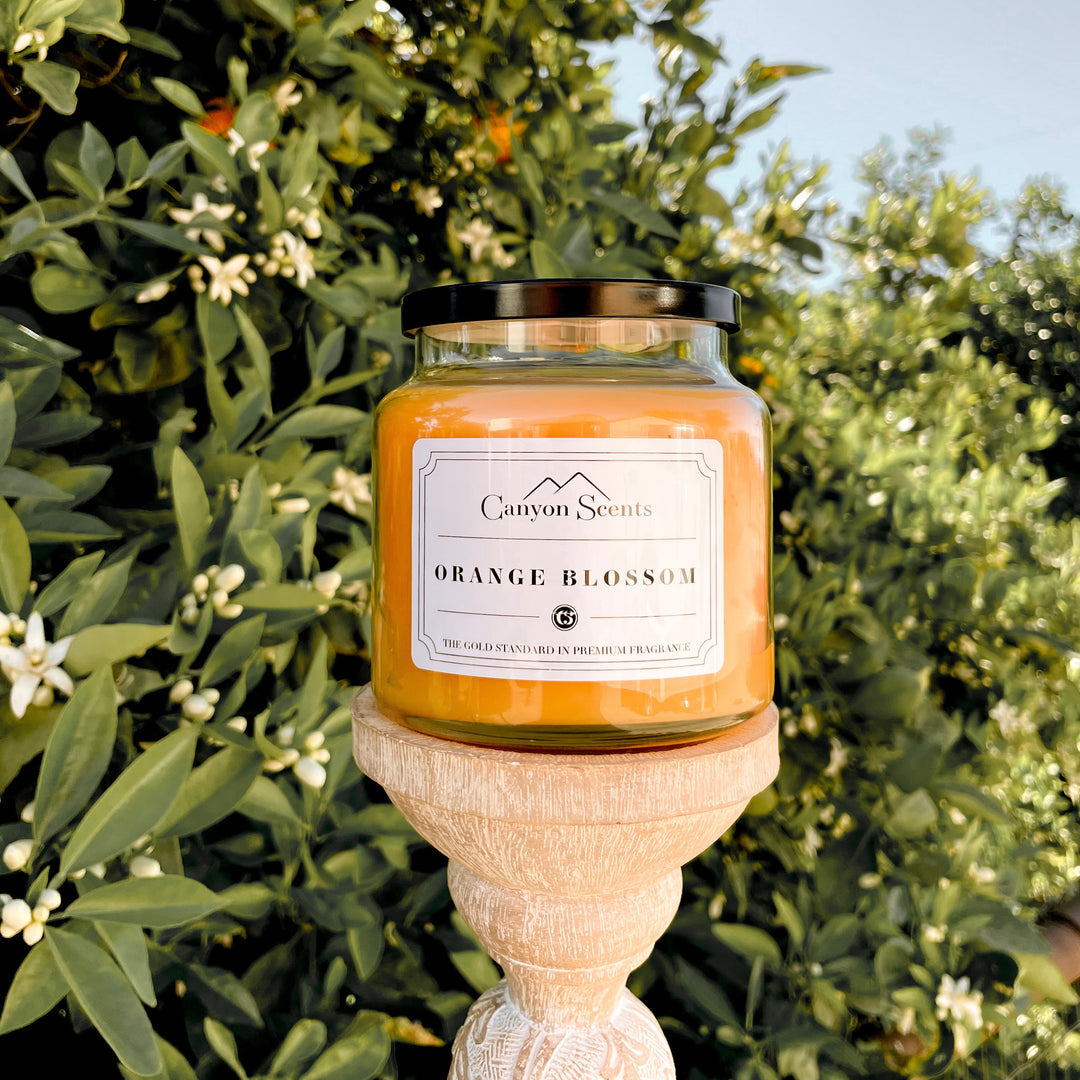 Orange Blossom