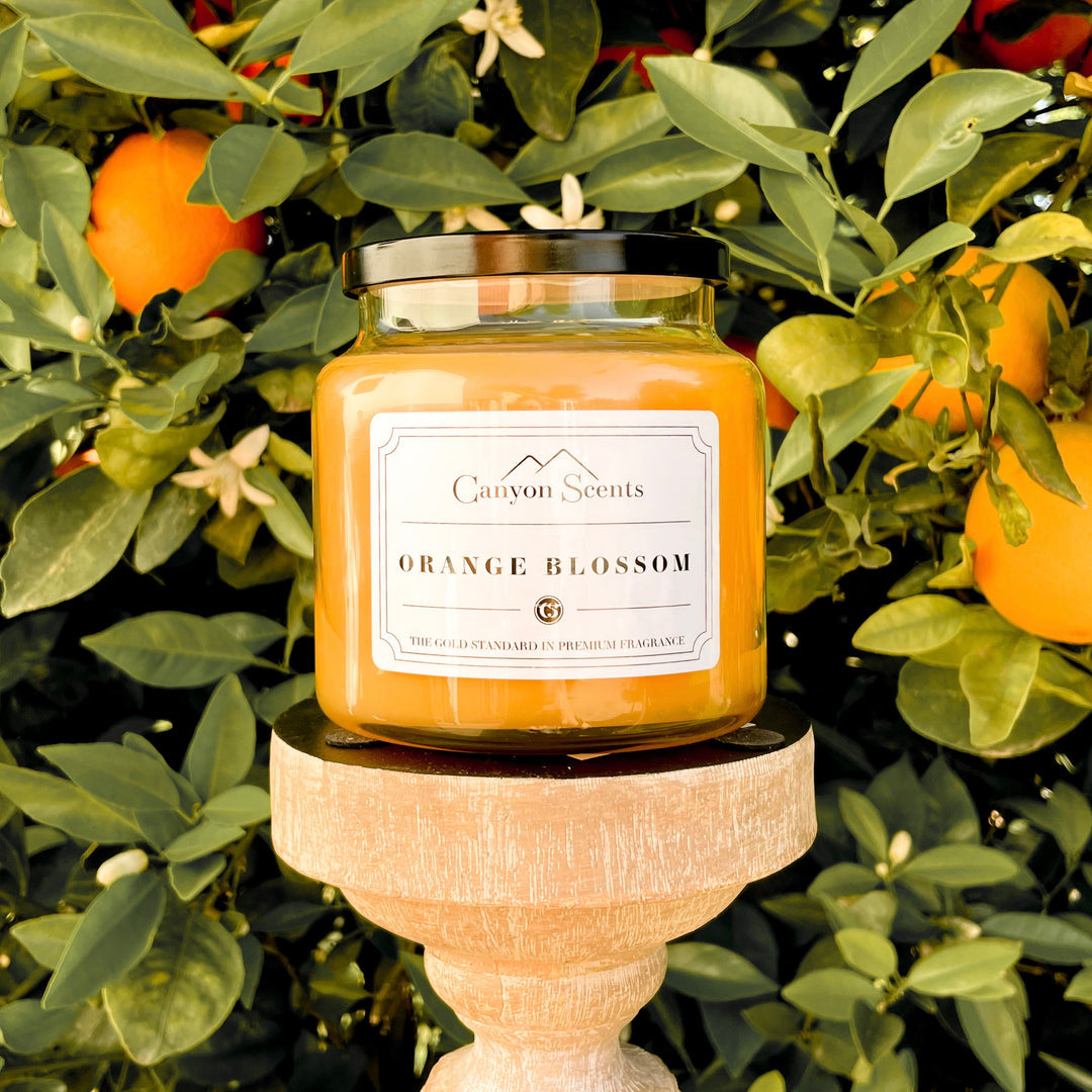 Orange Blossom